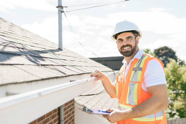 Best Roof Ventilation Installation  in Litchfield, MI